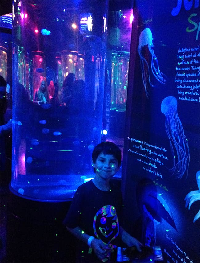 Jellyfish Discovery At Legoland Sealife Aquarium Popsicle Blog
