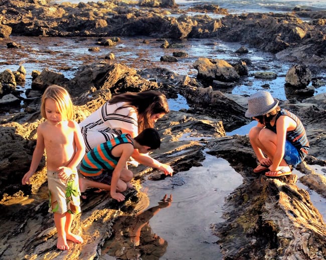 Corona Del Mar Tide Pools