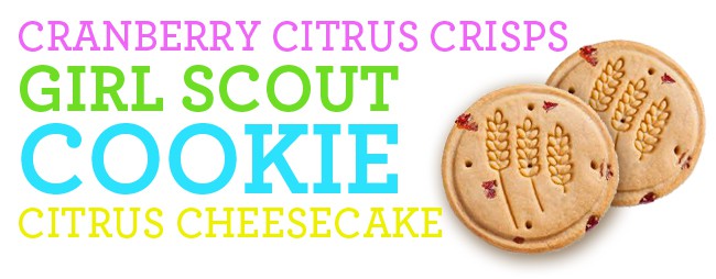 citrus-cheesecake-cookie-crust-recipe