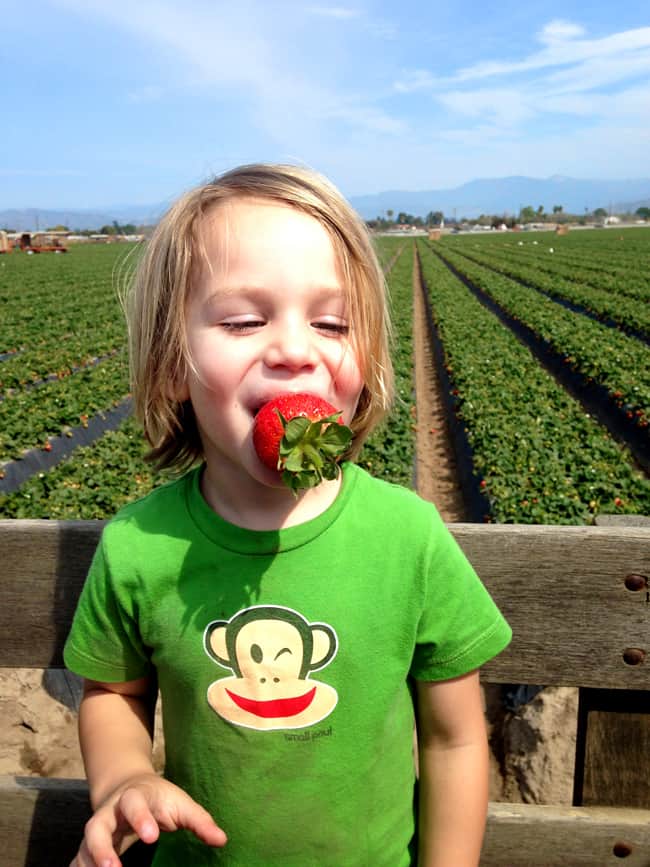 best-california-strawberries-recipe