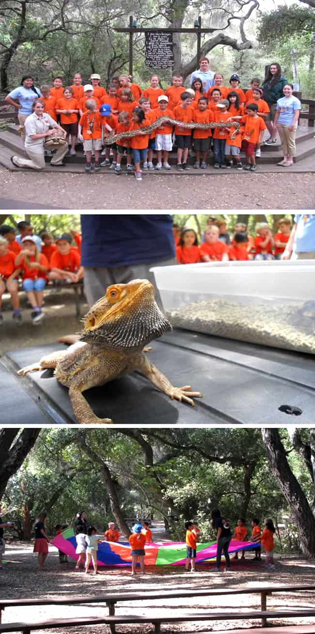 oak-canyon-nature-center-summer-day-camp