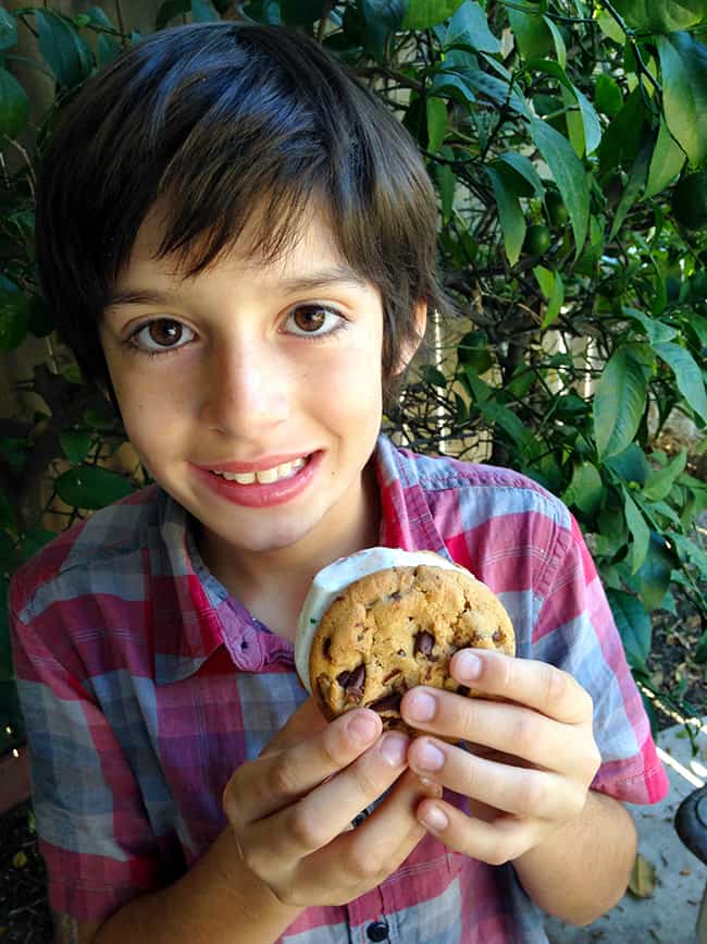 quick-easy-ice-cream-sandwiches