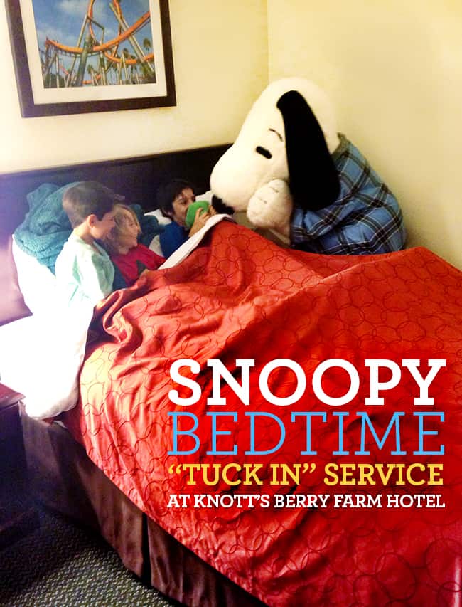 snoopy-bedtime-tuck-in-service-knotts-hotel