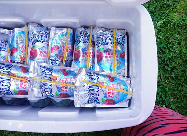 capri-sun-ice-pouches