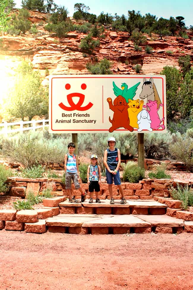 best-friends-animal-sanctuary-kanab