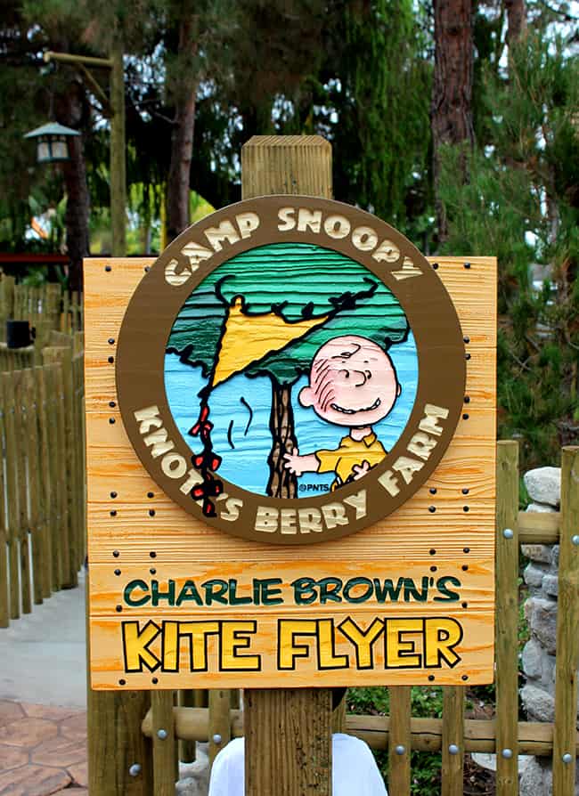 camp-snoopy-charlies-kite-flyer