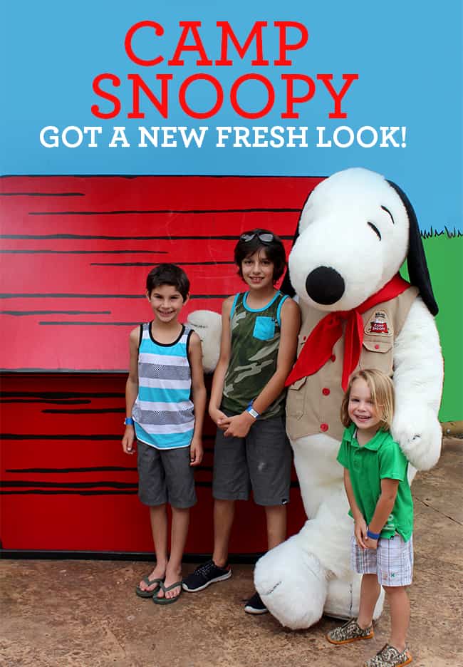 camp-snoopy-new-look