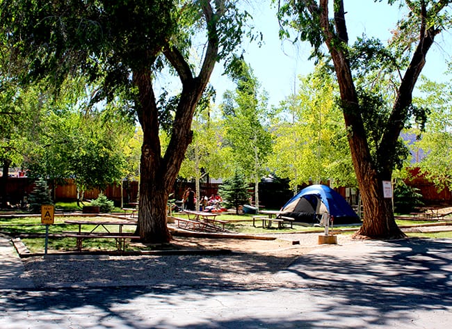 cedar-city-utah-campground-tent