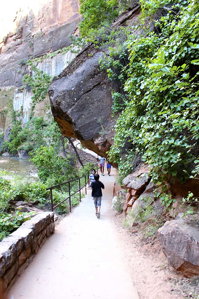 utah-zion-national-park-easy-trail