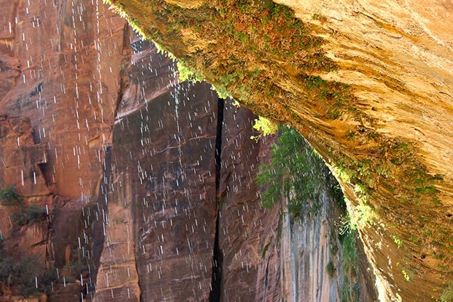 weeping-rock-zion-utah