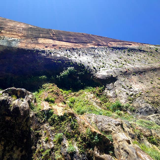 weeping-rock-zion