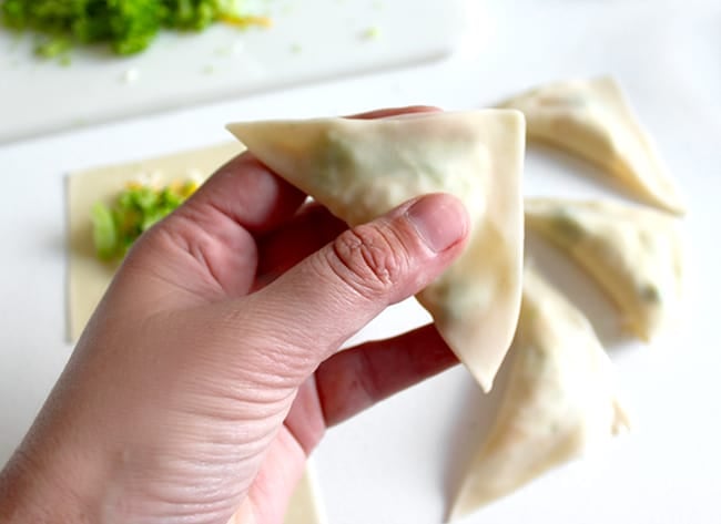 Broccoli Cheese Wontons