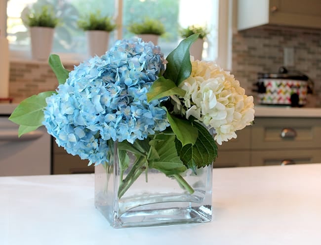 fresh-flowers-hydrangeas