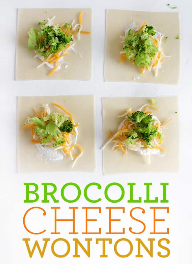 How to Make Broccoli Cheese Wontons