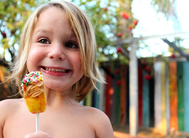 Honey Crisp Apple Snack Idea