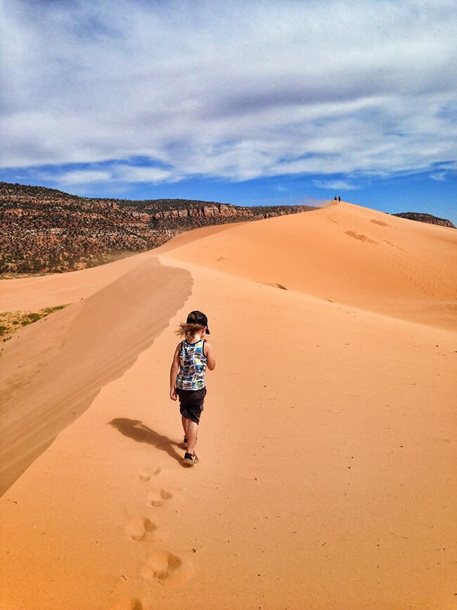 coral_pink_sand_dunes_utah