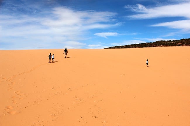 coral_pink_sand_dunes_utah_state_park