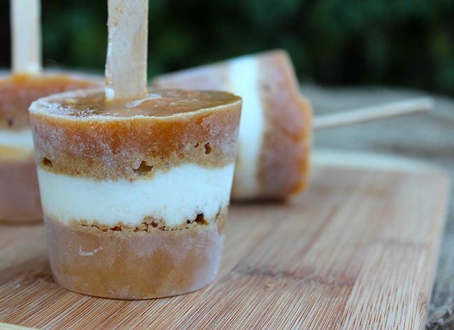 Pumpkin Cheesecake Popsicle recipe