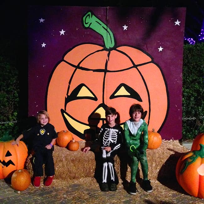 Legoland Brick-or-Treat Photo Props