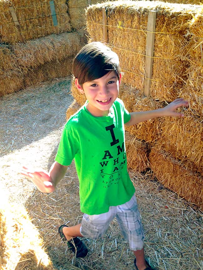 irvine-park-railroad-hay-maze