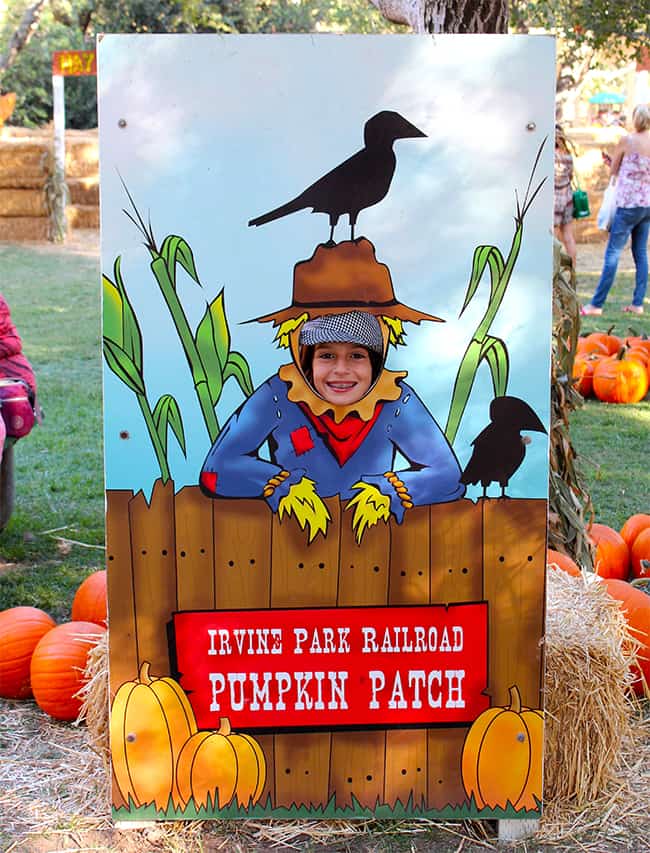 irvine-park-railroad-pumpkin-patch-2014