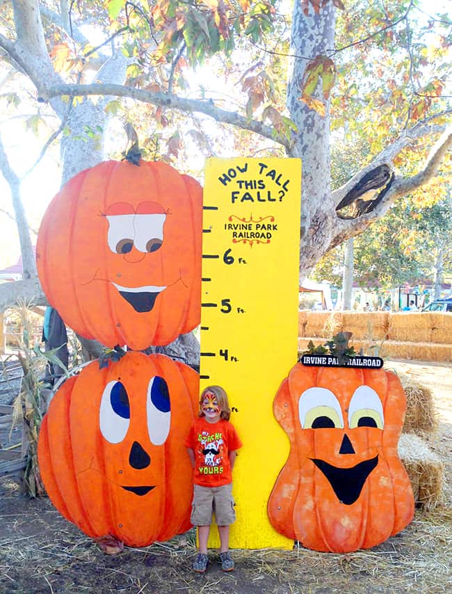 irvine-park-railroad-pumpkin-patch-growth-chart