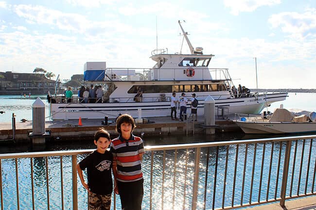 best-dana-point-whale-watching