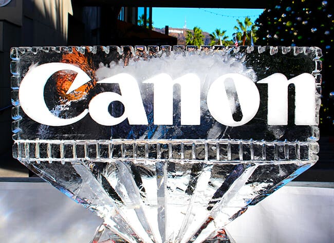 Canon Ice Sculpture