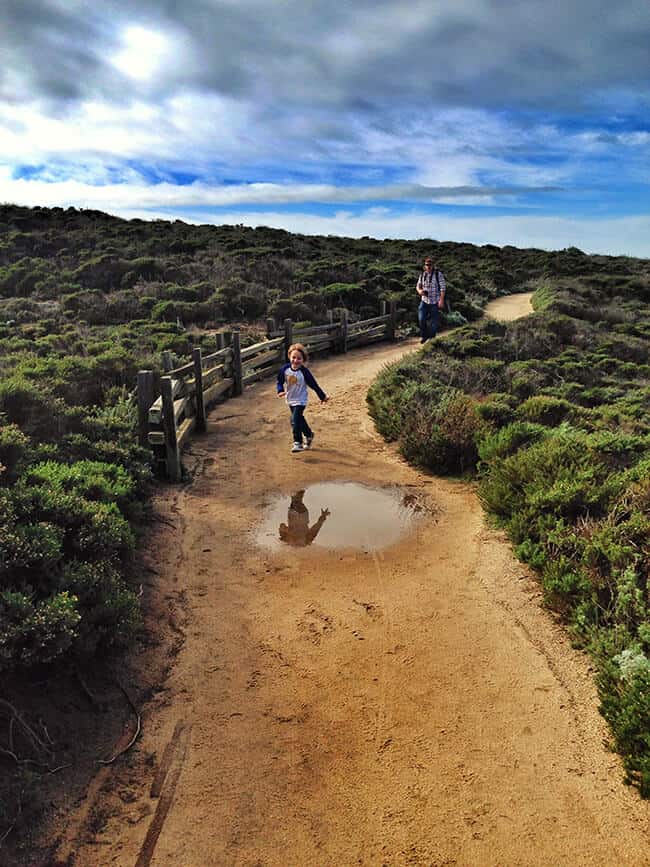 point lobos carmel