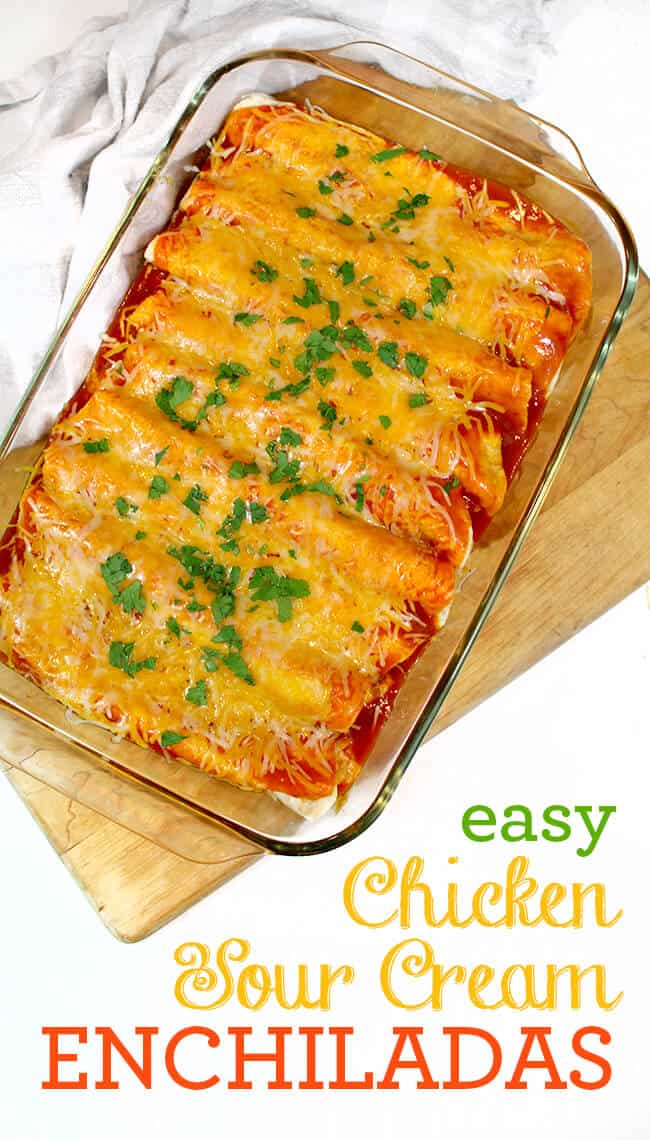 Easy Chicken Sour Cream Enchiladas Your Family Will Love