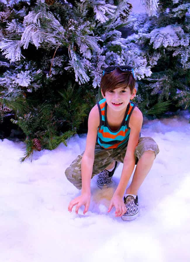 California Adventure Frozen Real Snow