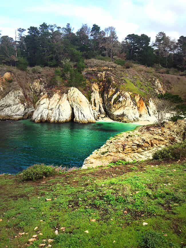 Carmel-By-The-Sea-Point-Lobos-Bird-Island