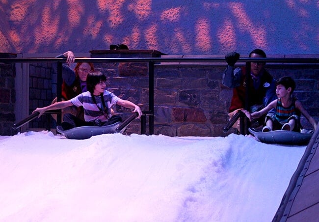Disneyland Frozen Arendelle sledding