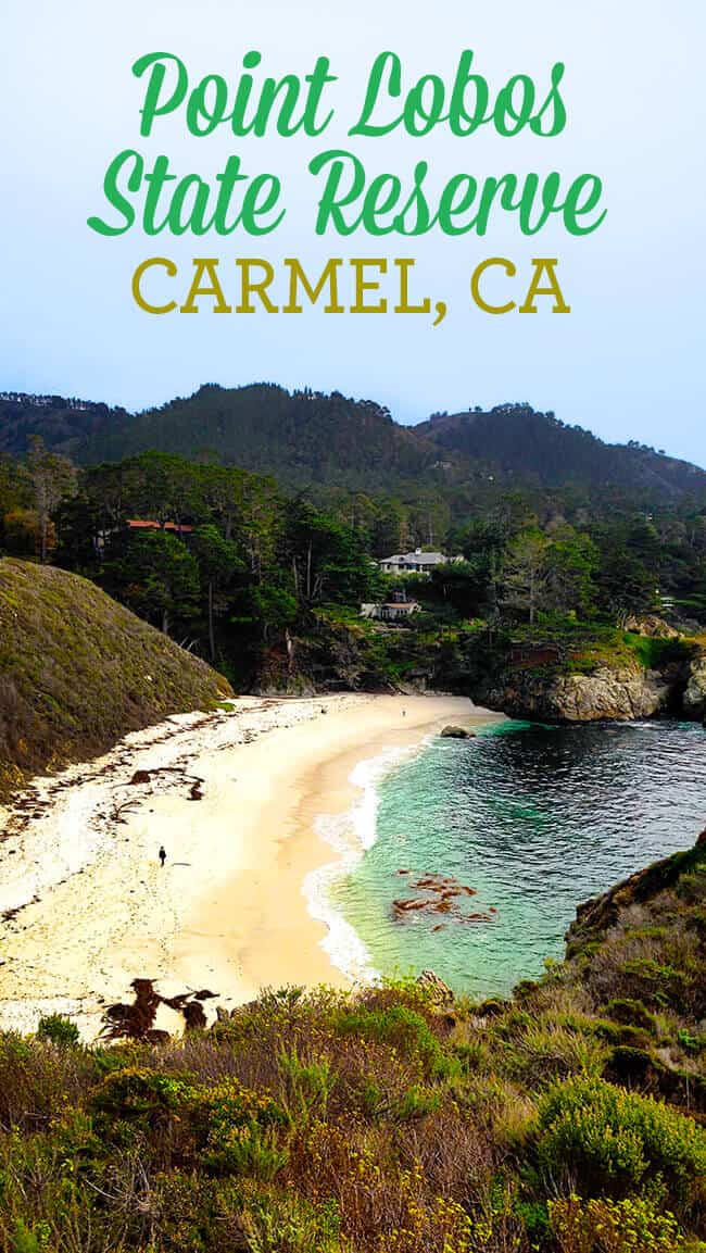 Family Travel: Point Lobos State Reserve in Carmel, CA