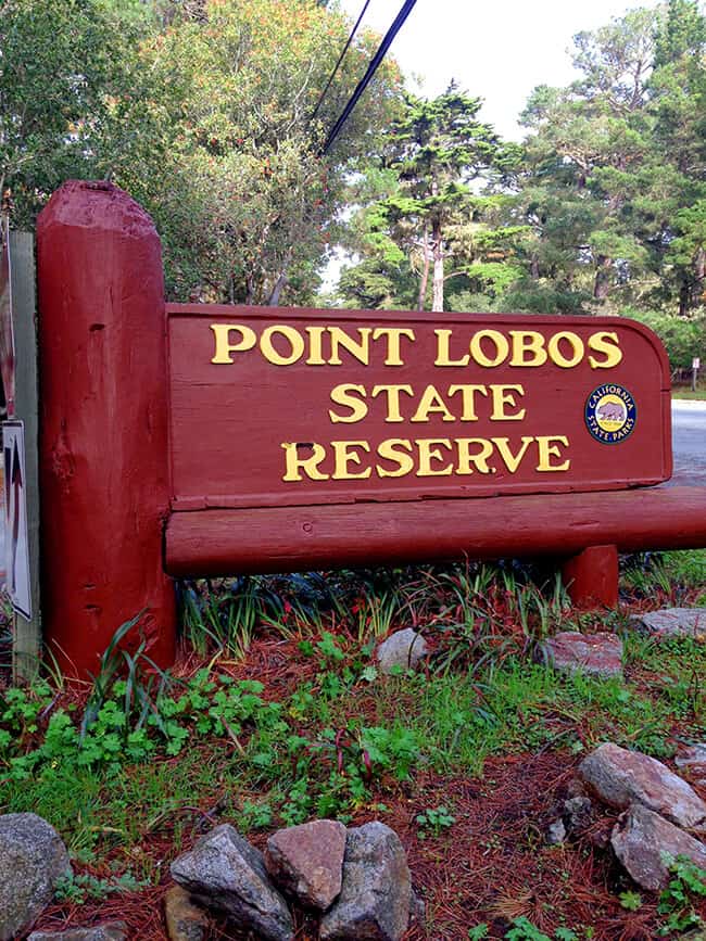 Point Lobos State Park Beach