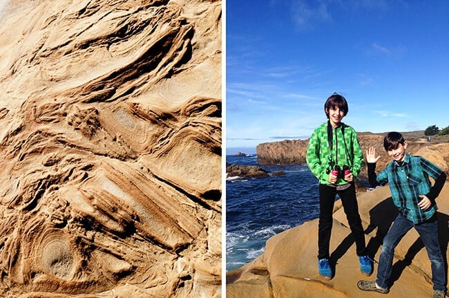 Point Lobos State Park Hike