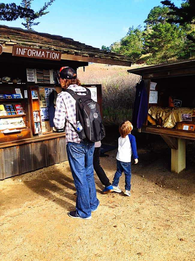 Point Lobos State Park Information