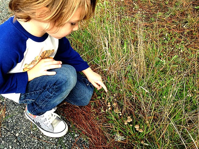 Point Lobos State Park Northern California Family Travel