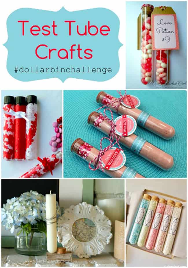 Test Tube Craft Ideas-Dollar Bin Challenge