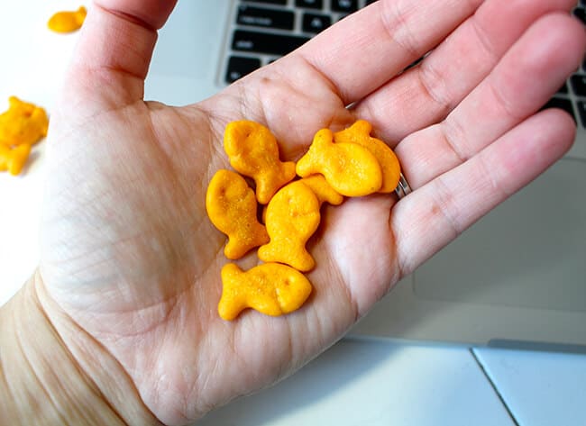 goldfish crackers parent snack