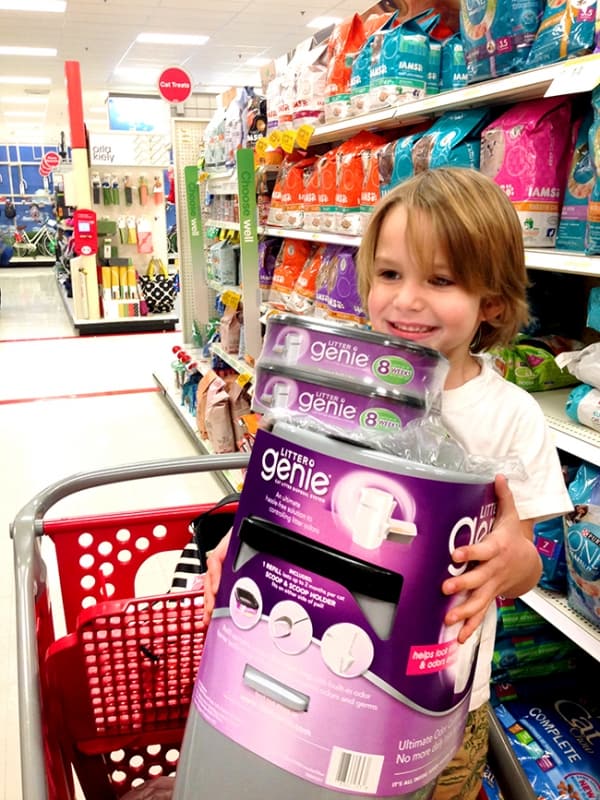 Litter Genie Makes the Icky Job of Cleaning the Cat Box Easier