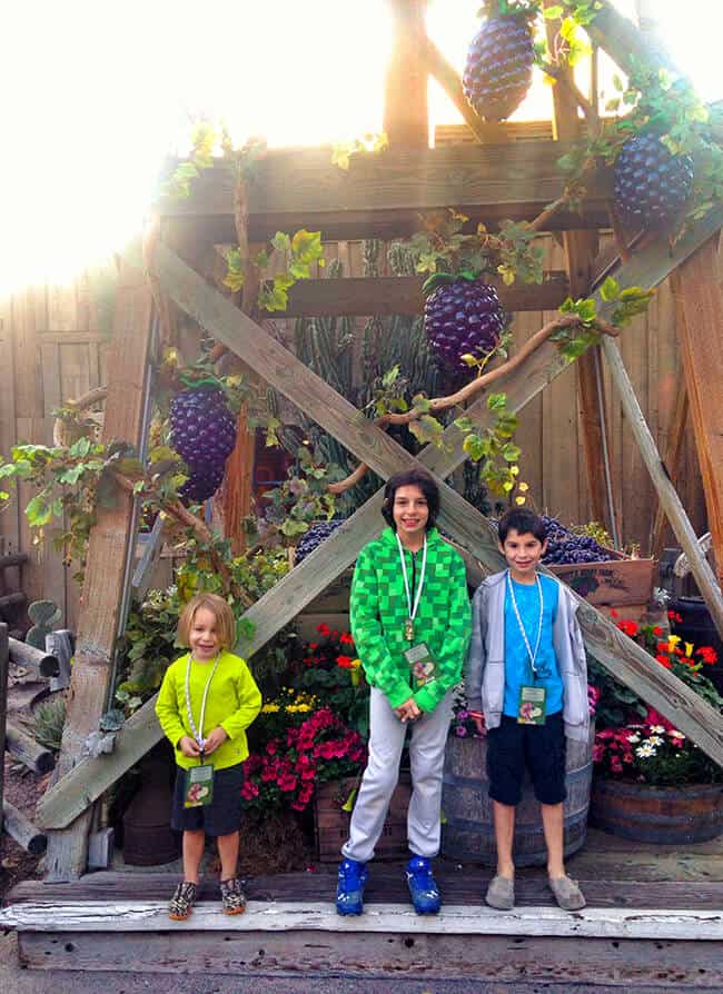 Knott's Berry Bloom_Things to do in Orange County