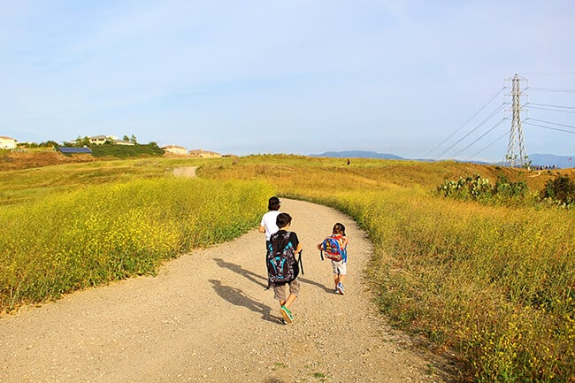 Orange County California Hiking