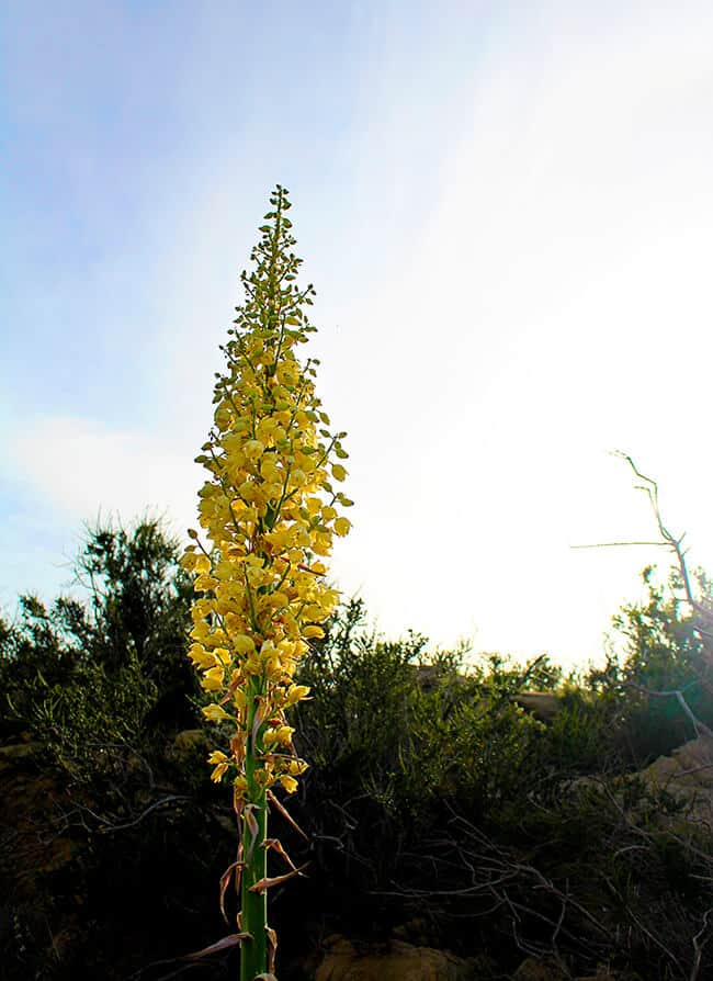 Southern California Hiking