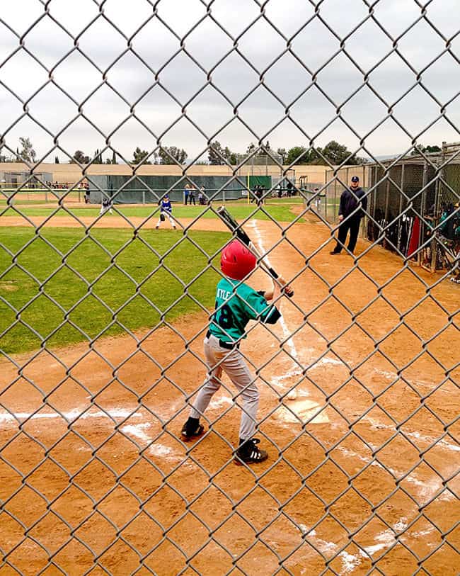 baseball season