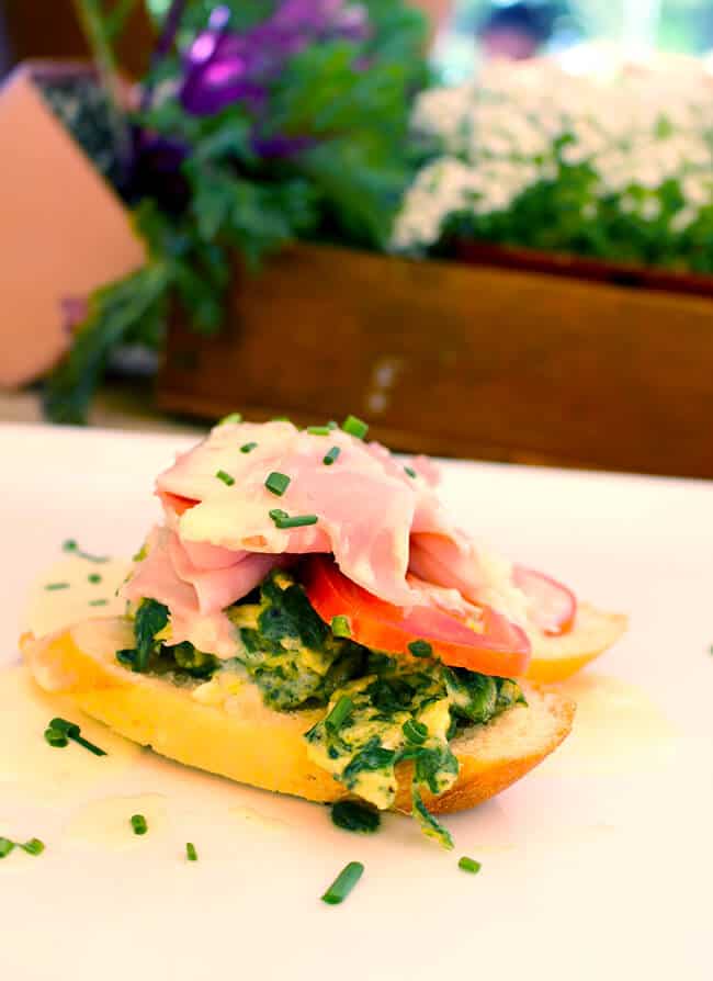 Green Eggs and Ham by Zovs Bistro OC
