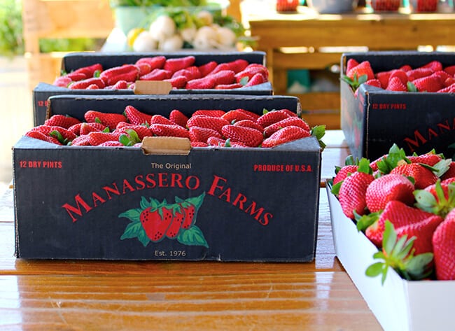 OC Manassero Farm Stand Strawberries