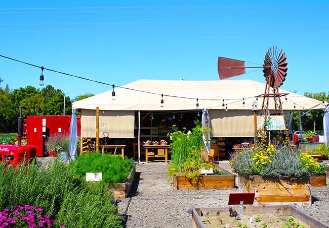 Orange County Farm Stands