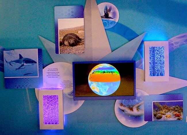 The Discovery Cube Sealife Exhibit