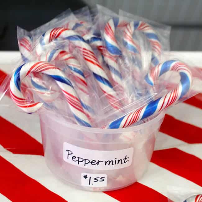 Patriotic Candy Canes